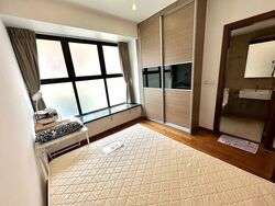Holland Link (D10), Terrace #592487581